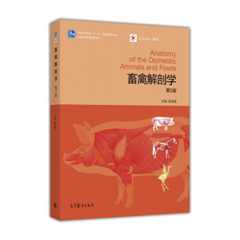 ���ݽ��ʌW(xu��)