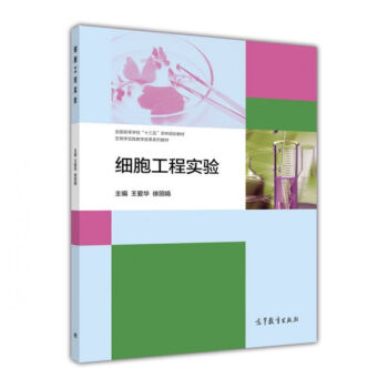 �������̌��