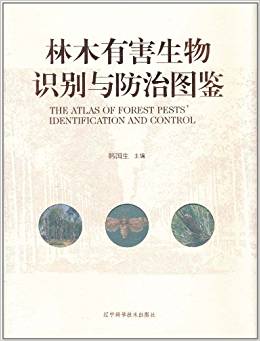 ��ľ�к������R�e�c���ΈD�b