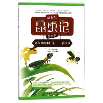 ���������xӛ���L������ҹ���С���\����Ξ���x