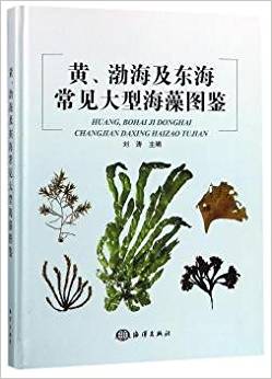 �S���������|����Ҋ���ͺ���D�b