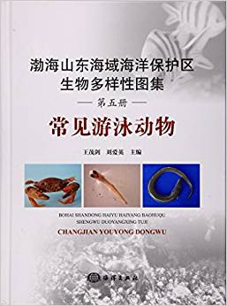 ����ɽ�|�������o(h��)�^(q��)��������ԈD��������Ҋ��Ӿ��(d��ng)��