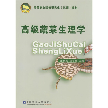 �߼��߲�����W