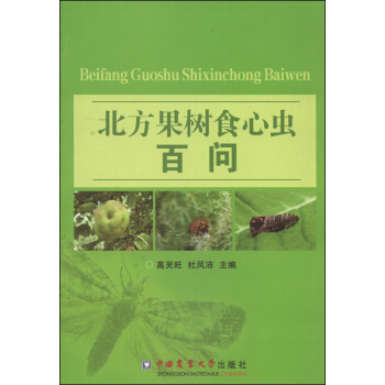 ��������ʳ���x�ن�