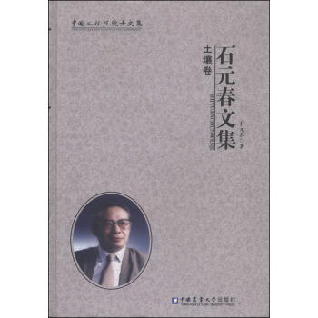 ʯԪ���ļ���������