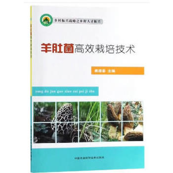 ��Ǿ���Ч���༼�g