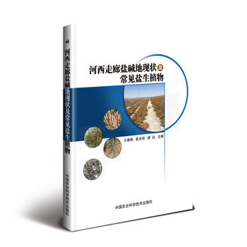 ���������}�A�جF(xi��n)���Ҋ�}��ֲ��