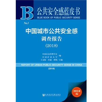 ������ȫ���{(l��n)Ƥ��:�Ї����й�����ȫ���{(di��o)���棨2018��