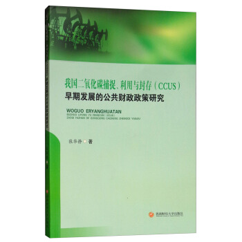 �҇�(gu��)������̼��׽�������c��棨CCUS�����ڰl(f��)չ�Ĺ���ؔ(c��i)�������о�