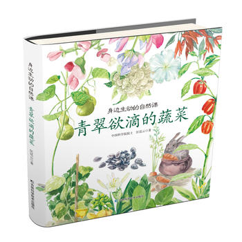 ��߅���ӵ���Ȼ�n- ������ε��߲�