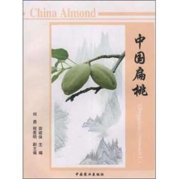 �Ї�����