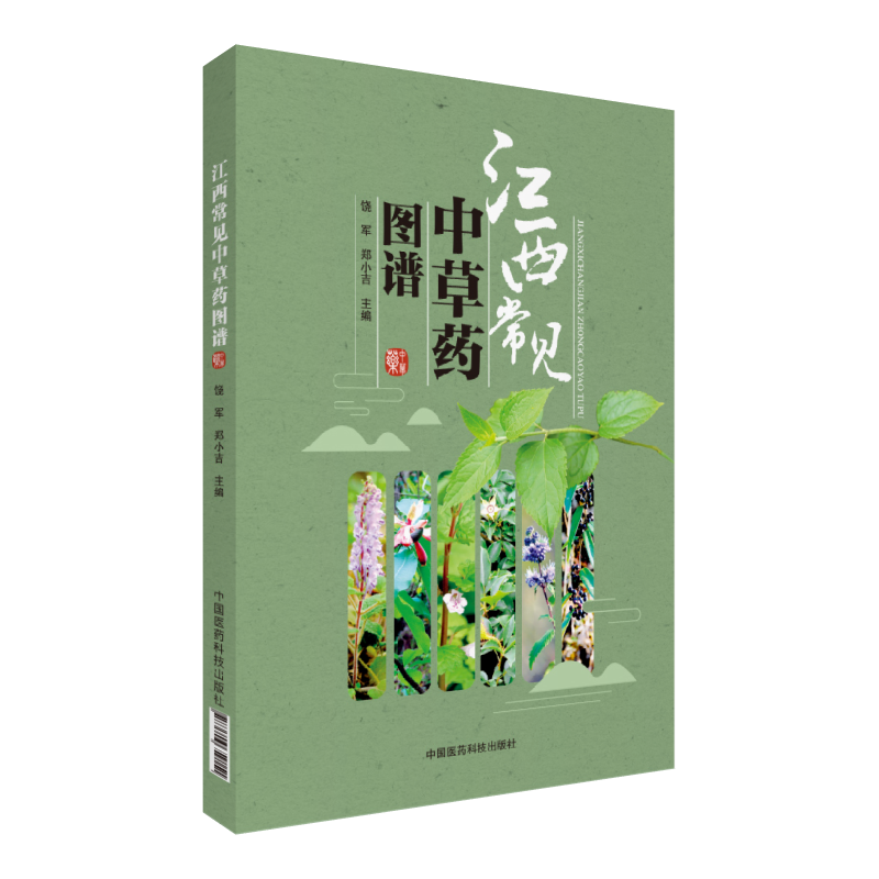 ������Ҋ�в�ˎ�D�V