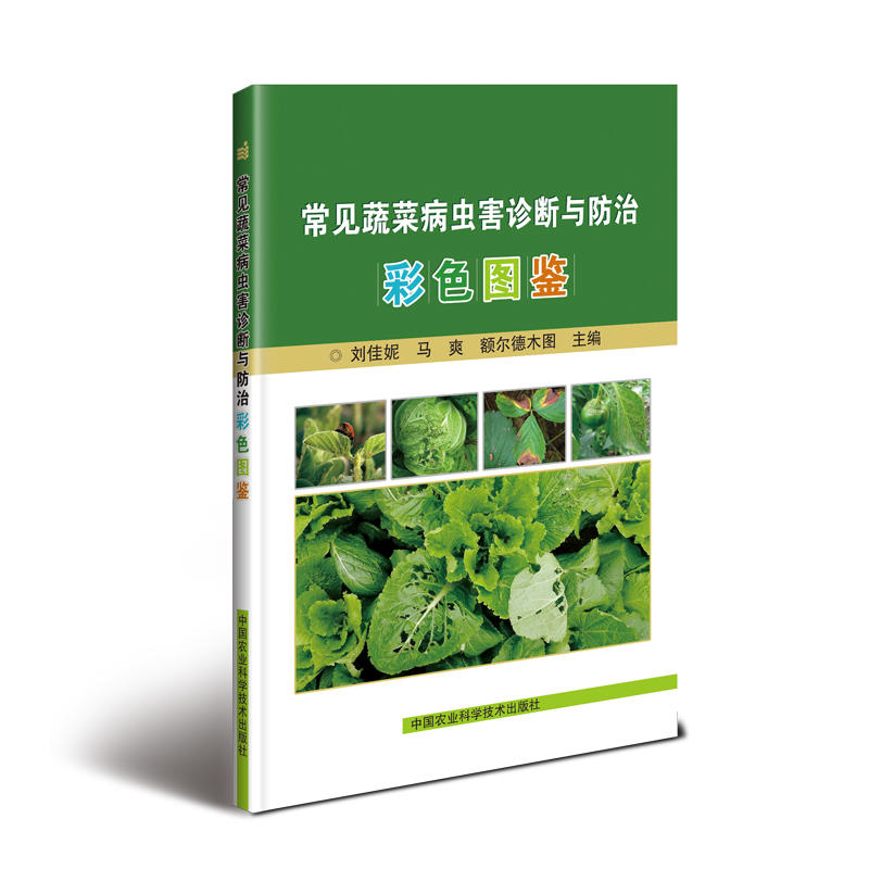 ��Ҋ(ji��n)�߲˲��x(ch��ng)���\���c���β�ɫ�D�b