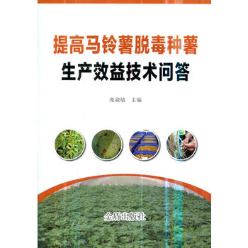 ����R���Ó���N�����a(ch��n)Ч�漼�g(sh��)����