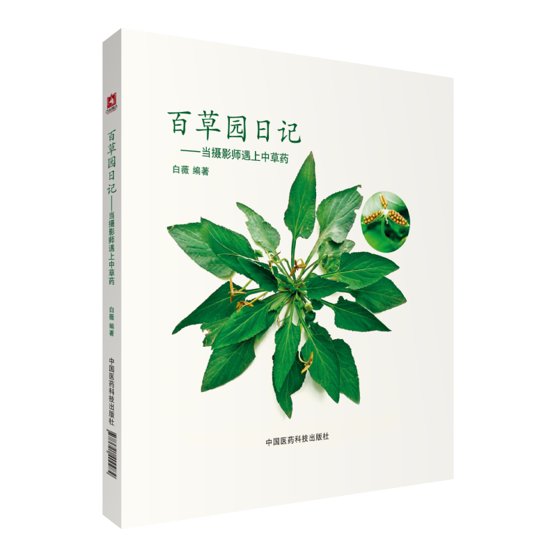 �ٲ݈@��ӛ������(d��ng)�zӰ�������в�ˎ