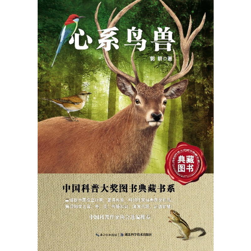 ��ϵ�B�F-�Ї����ՈD���󪄈D����ؕ�ϵ