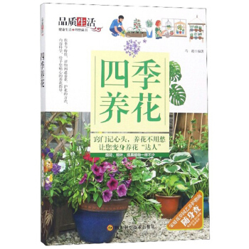 �ļ��B(y��ng)��