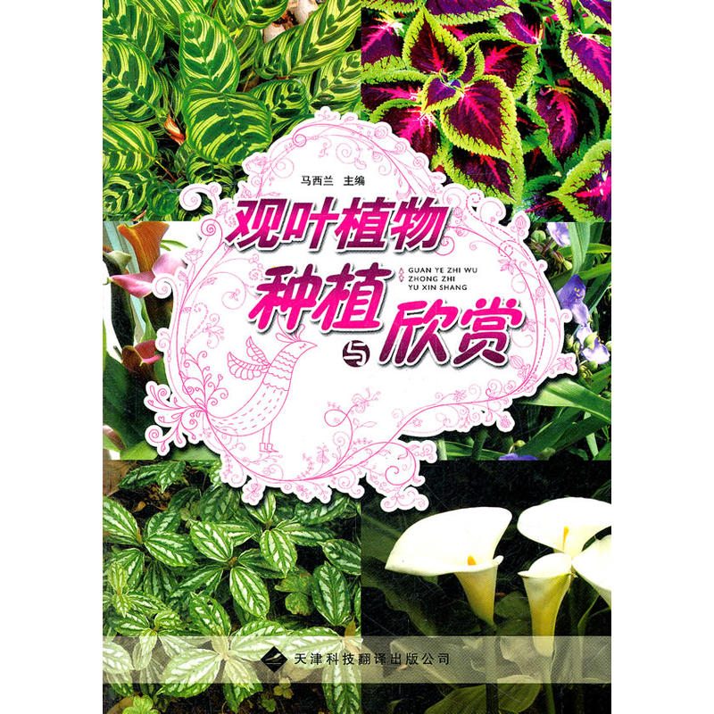 �^�~ֲ��Nֲ�c���p