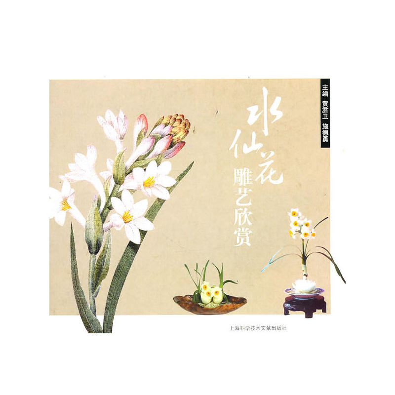 ˮ�ɻ���ˇ���p