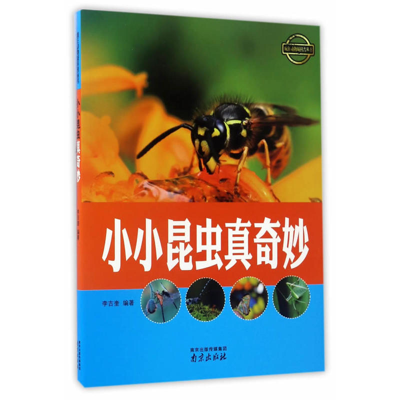 СС���x������