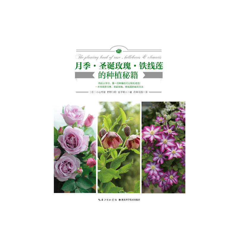 �¼���ʥ�Qõ�����F��ɏ�ķNֲ�ؼ�