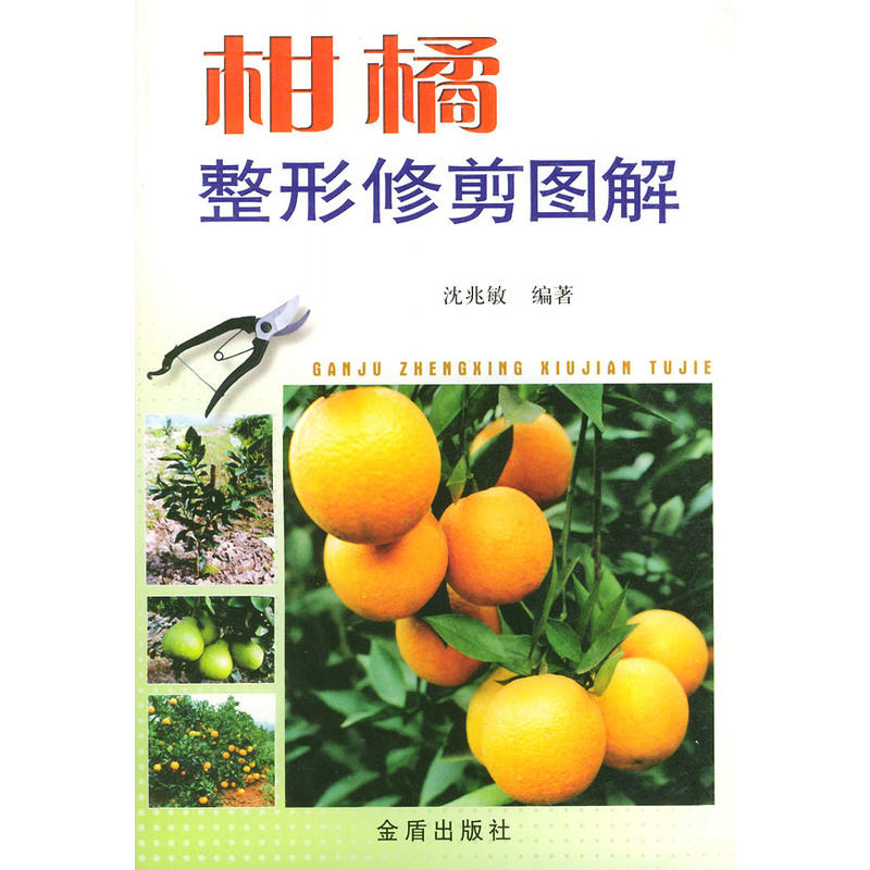 ���������޼�D��