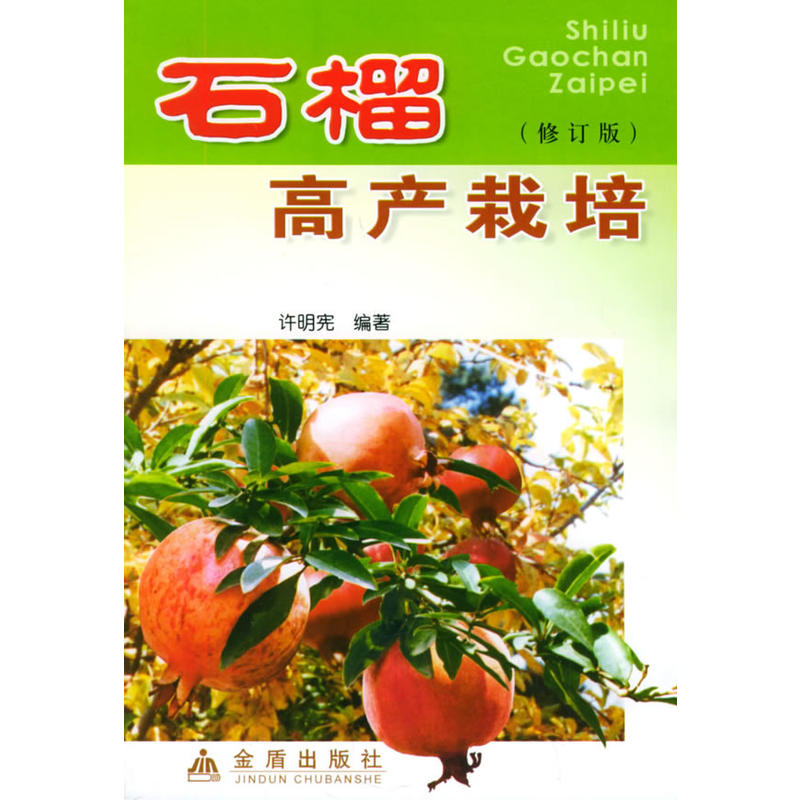 ʯ��߮a(ch��n)���ࣨ��ӆ�棩