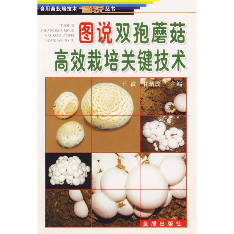 �D�f�p��Ģ����Ч�����P�I���g