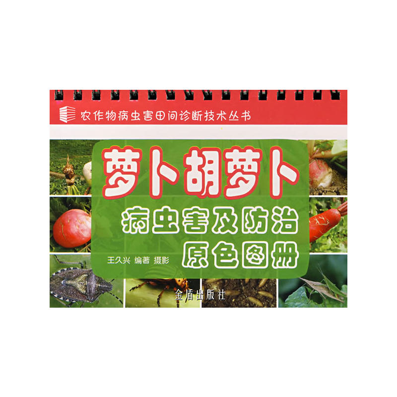 �}�����}�����x��������ԭɫ�D��(c��)