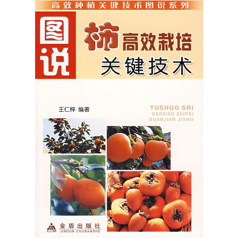 �D�f����Ч�����P�I���g