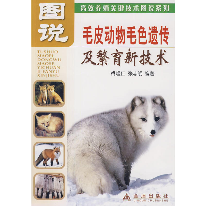 �D�f(shu��)��ëƤ��(d��ng)��ëɫ�z���������¼��g(sh��)