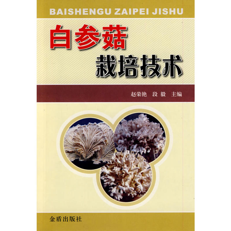 �ׅ������༼�g(sh��)