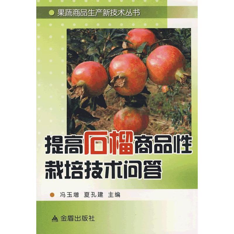 ���ʯ����Ʒ�����༼�g(sh��)��(w��n)��