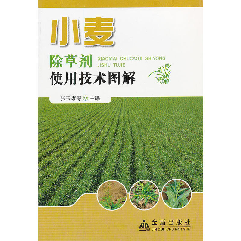 С�����݄�ʹ�ü��g�D��