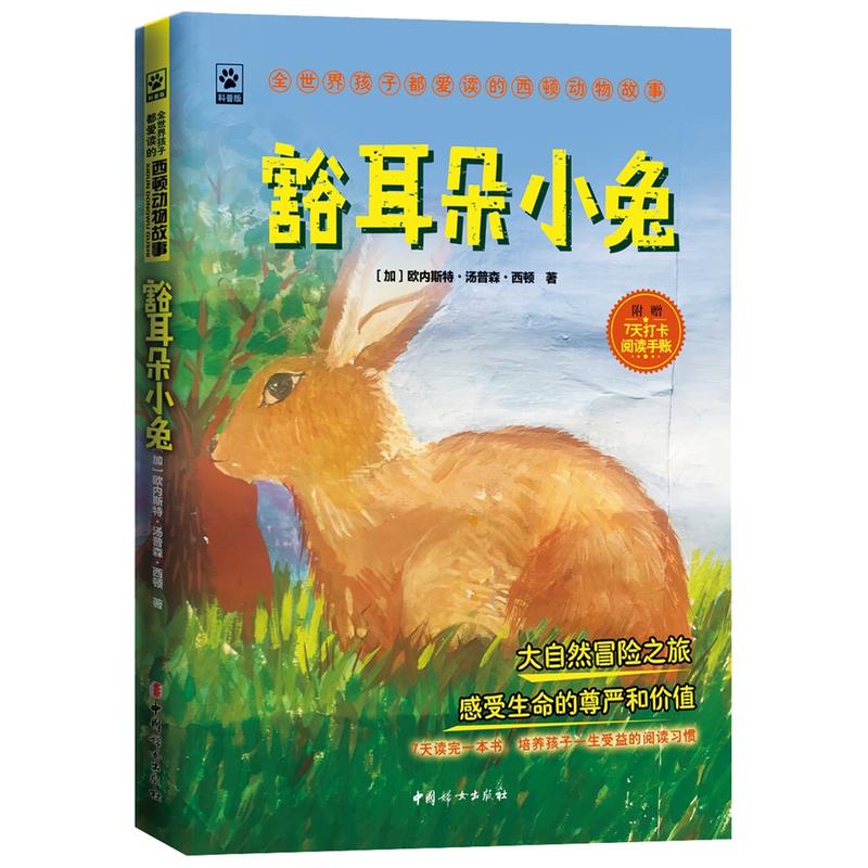 ������С��