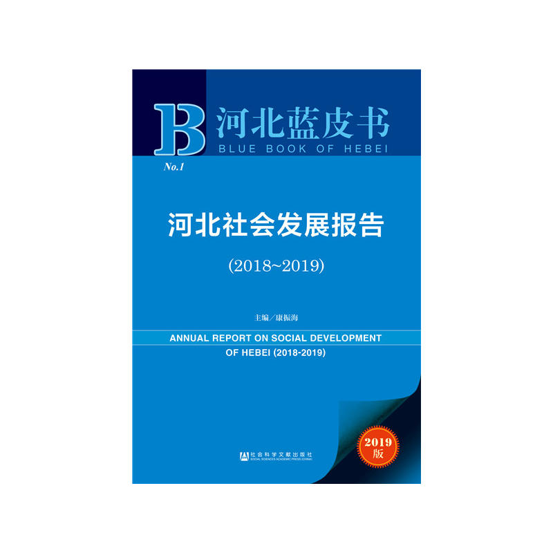 �ӱ��{(l��n)Ƥ�����ӱ�����l(f��)չ��棨2018~2019��