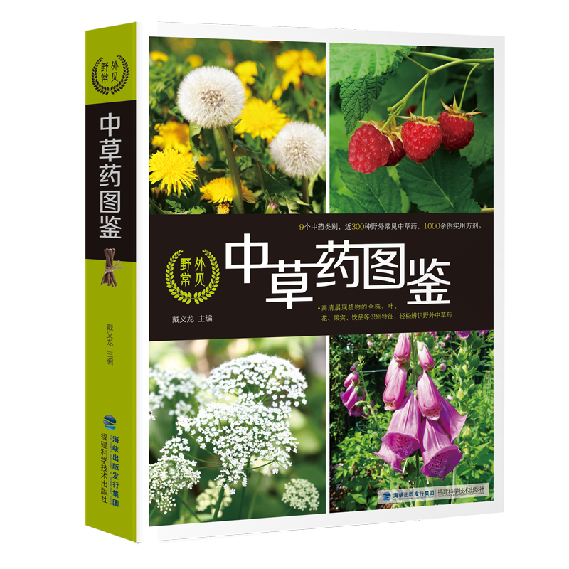 Ұ�ⳣҊ�в�ˎ�D�b