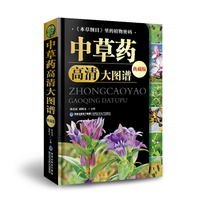 �в�ˎ�����D�V����ذ棩