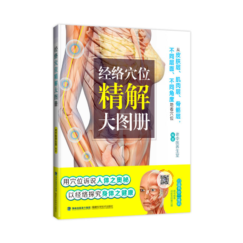 ��(j��ng)�j(lu��)Ѩλ�����D��(c��)������Ƥ�w�ӡ�������������Ӿ���(x��)���xѨλ