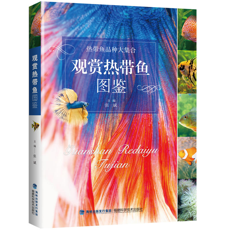 �^�p�Ꭷ�~�D�b