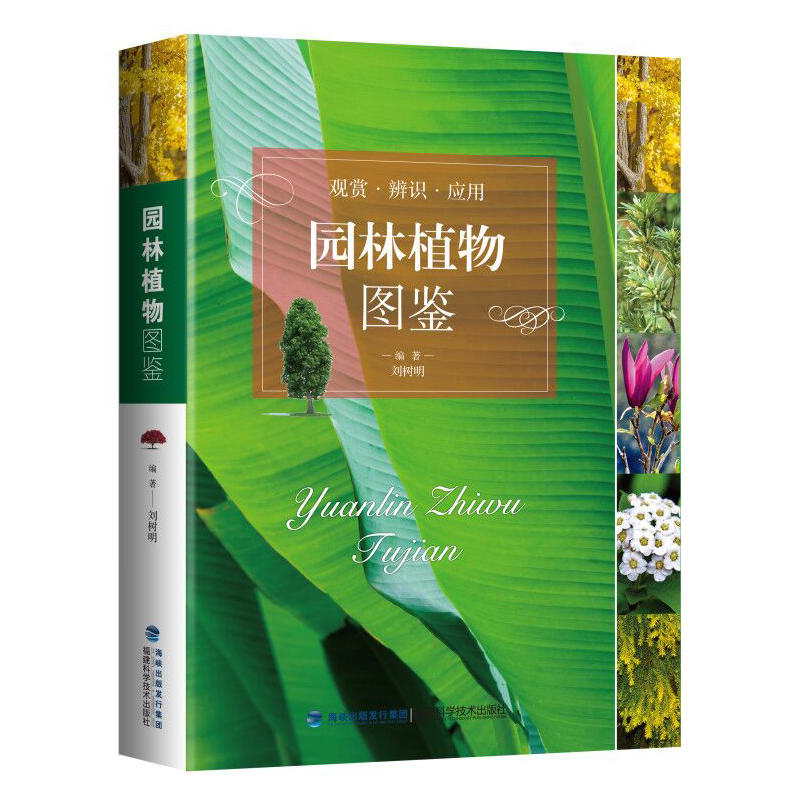 �@��ֲ��D�b