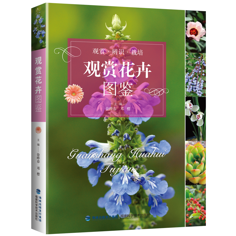 �^�p���܈D�b