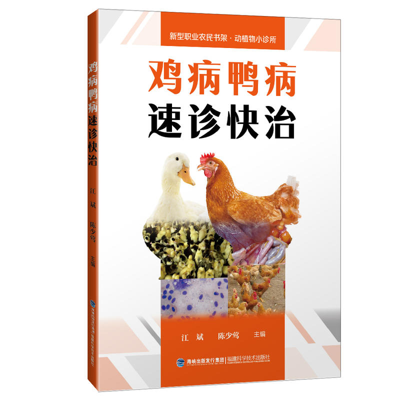 �u���������\����