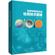 ʳԴ�Բ�ԭ΢����z�y(c��)���g(sh��)�D�V