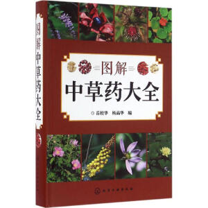 �D���в�ˎ��ȫ