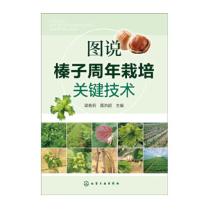 �D�f������������P�I���g