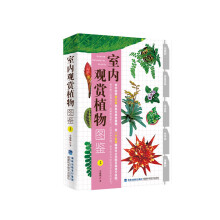 �҃�(n��i)�^�pֲ��D�b��