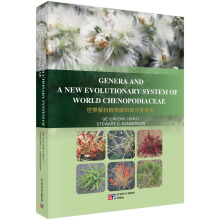 ����޼��ֲ���·��ϵ�y(t��ng)��Ӣ�İ棩