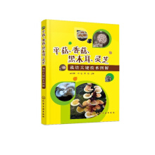 ƽ�����㹽����ľ�����`֥�����P(gu��n)�I���g(sh��)�D��