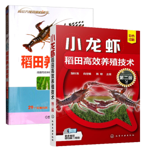 С���r�����Ч�B(y��ng)ֳ���g(sh��)���ڶ��棩